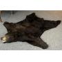 Black Bear Skin Rug 90" x 92"