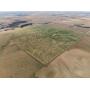 158+/- ACRES ELLWORTH CO FARMLAND