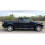 2010 Ford F-150 XLT