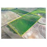 TRACT 2: 78.2 +/- Acres