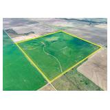 TRACT 4: 157.4 +/- Acres