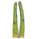 Vintage Asparagus Ceramic Salt & Pepper Shakers