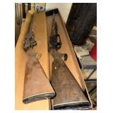 (2) Pellet Guns