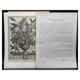 Robert Furber-Twelve Months of Flowers Vintage