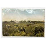 Antique Argonia, Kansas Post Card