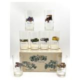 Antique Cars Glass Cups with Original Box -