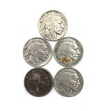 (5) Buffalo Nickels