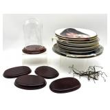 Glass Cloche on Wood Base, Wood Display