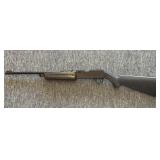 Daisy Powerline 856 BB Gun- plastic stock and