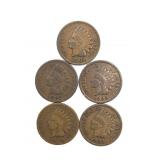 (5) Indian Head Cents