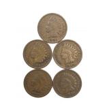 (5) Indian Head Cents
