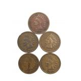 (5) Indian Head Cents