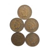 (5) Indian Head Cents