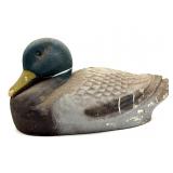 Mallard Duck Decoy 13'