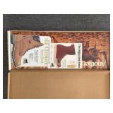 Vintage Red Wing Shoe Company Irish Setter Sport