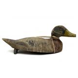 Vintage Wood Mallard Decoy 16' x 6'