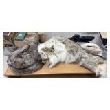 (2) Fur Hats, Coyote & Rabbit