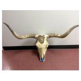 Long Horn Skull 44' Spread
