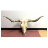 Long Horn Skull 42' Spread