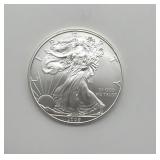 2009 Silver Eagle One Ounce Fine Silver