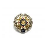 ï¿½Sterlingï¿½ Marked VFW Ladies Auxiliary Pin