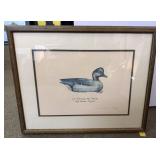 ï¿½Hurricane Pete " Peterson Duck Decoy Print