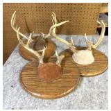 (3) Whitetail Cap Mounts