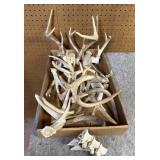 (2) Small Caps, Craft Antlers & Broadhead On