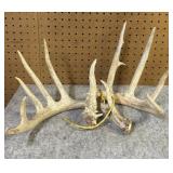 Matching Pair Whitetail Shed Antlers