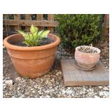 Planter with Potted Hosta, Planter, and Paver-