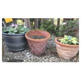 (2) Plastic and (1) Terracotta Large Planters