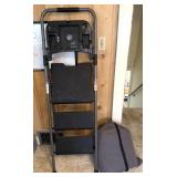 Step Ladder and Air Mattress