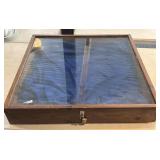 Wood and Glass Display 27" x 26" x 4.5"- with