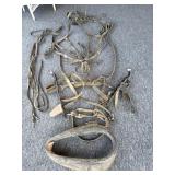 Harness - seems to be complete