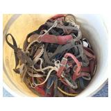 Bridles, Halters, and More