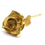 Gold Dipped Rose 11.5'- no marking