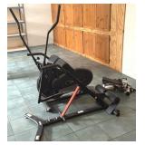 Orbitrek Elliptical, Stepper, and Sunny Roman