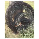 Barbed Wire