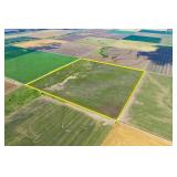 TRACT 4: 157.4 +/- Acres