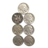 (7) Buffalo Nickels