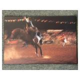 Rodeo Photo Print on Wood 30' x 20'