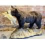 Full Black Bear mount with Pike