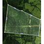 112+/- Wooded Acres as a Whole