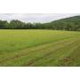 12.01 +/- Acres of level farmland