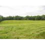 67 acres offered in 7 tracts