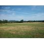 52.56 Acres in 4 Tracts, Home, Barn