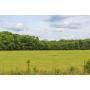 Large acreage tracts ranging from 20 to 100 acres.