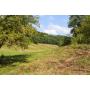 82 acres offered in tracts (from 7-25 acres each) or as a whole. 