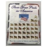Set of 31 American Flag Lapel Pins