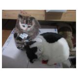 Cats (feels for real)